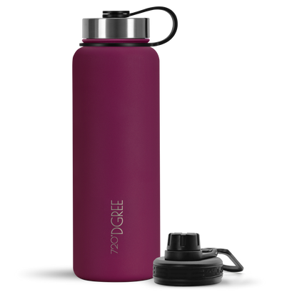 #color_lavish-plum
