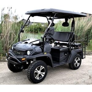 Linhai Big Hammer 200 GVX 200cc Gas Powered Side-by-Side Utility Cart with Custom Rims & Tires